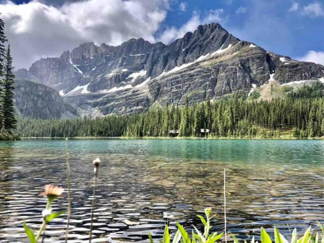 Falcon Crest Lodge 1 Bedroom Condo With Gym & Hot-Tubs & Mountain View Canmore Extérieur photo